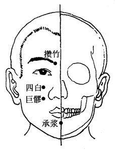 巨髎穴:清除胃部浊气!