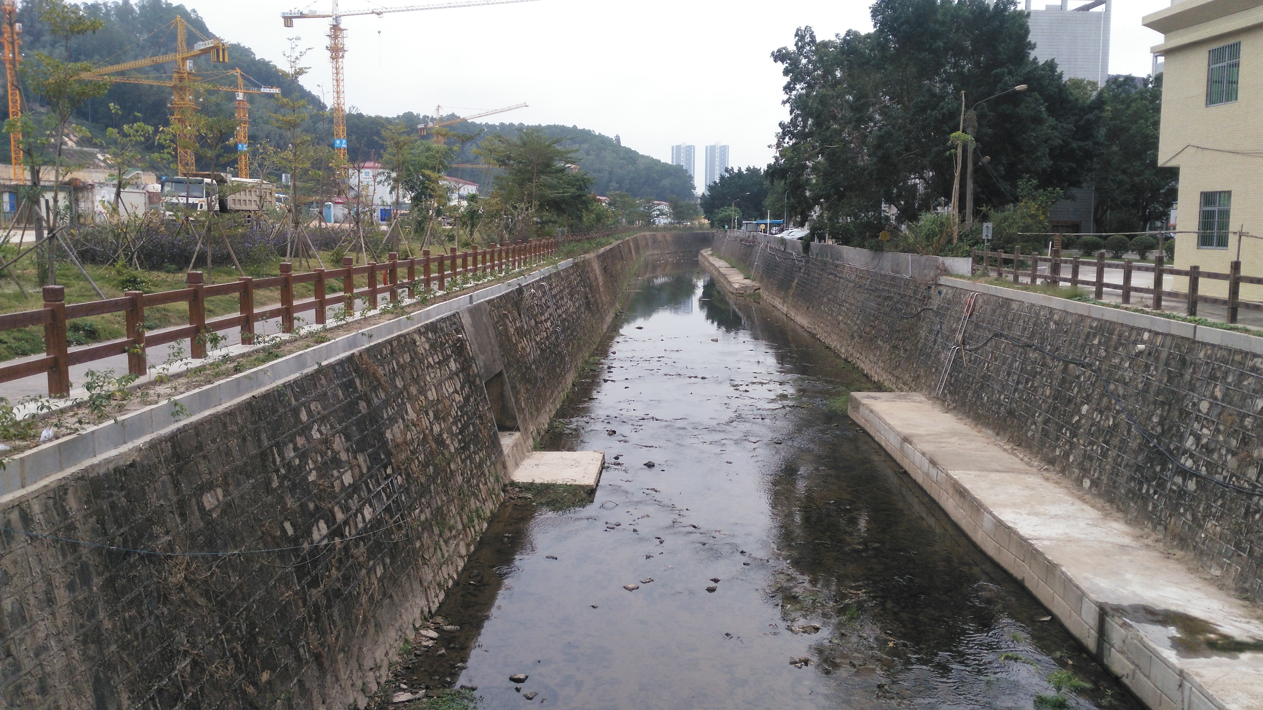 深圳龙岗原来还藏着一条南约河,你知道吗?