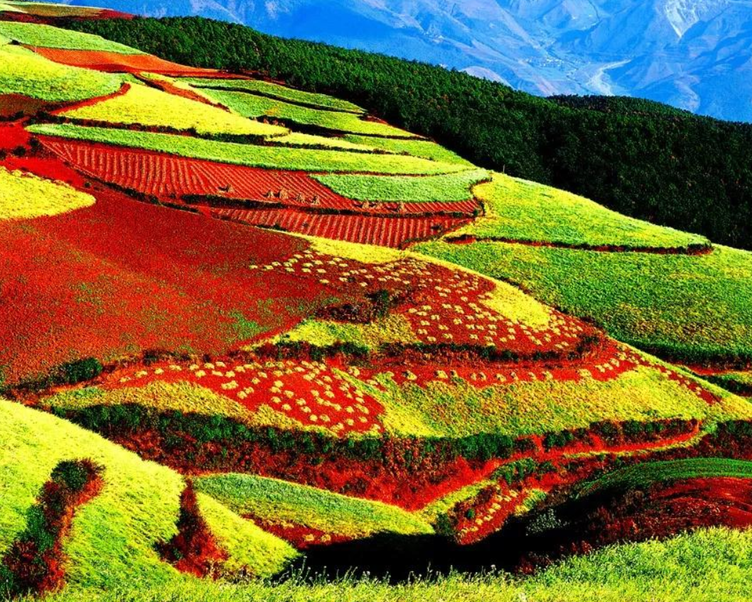 旅游:云南让人流连的地方,从山间到田野,都是美景!