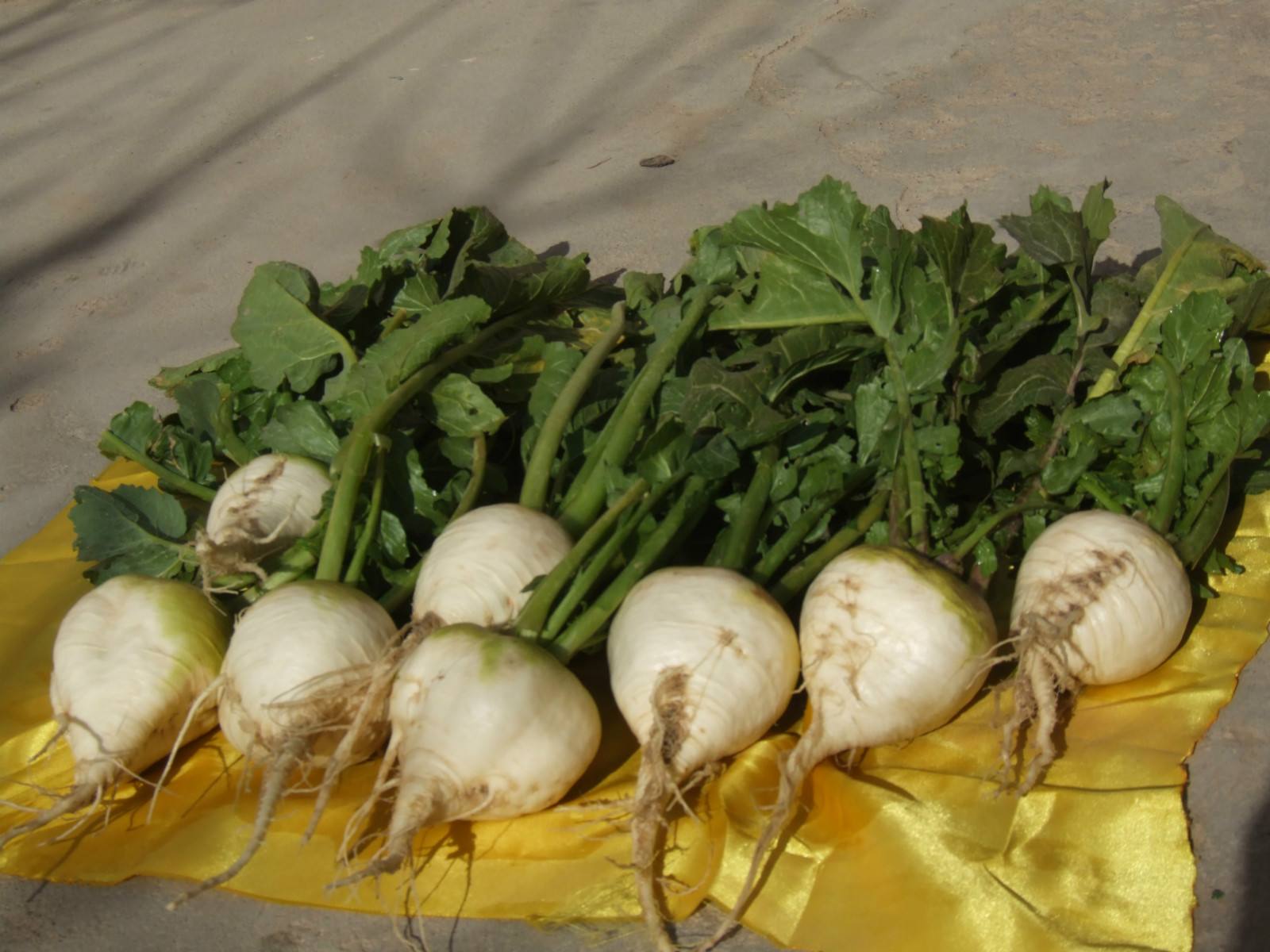 饲料- 热门商品专区