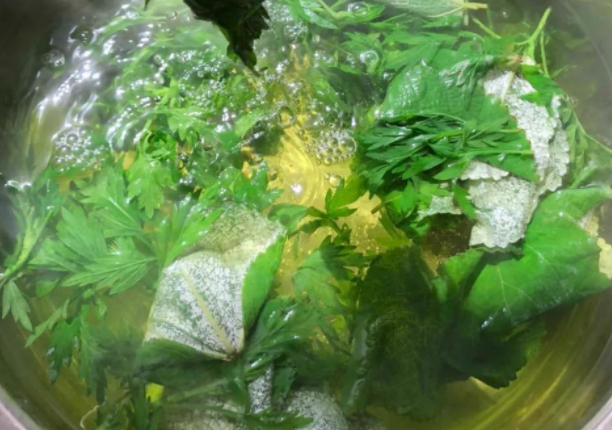 艾叶煮水效果多多,现在了解还不晚