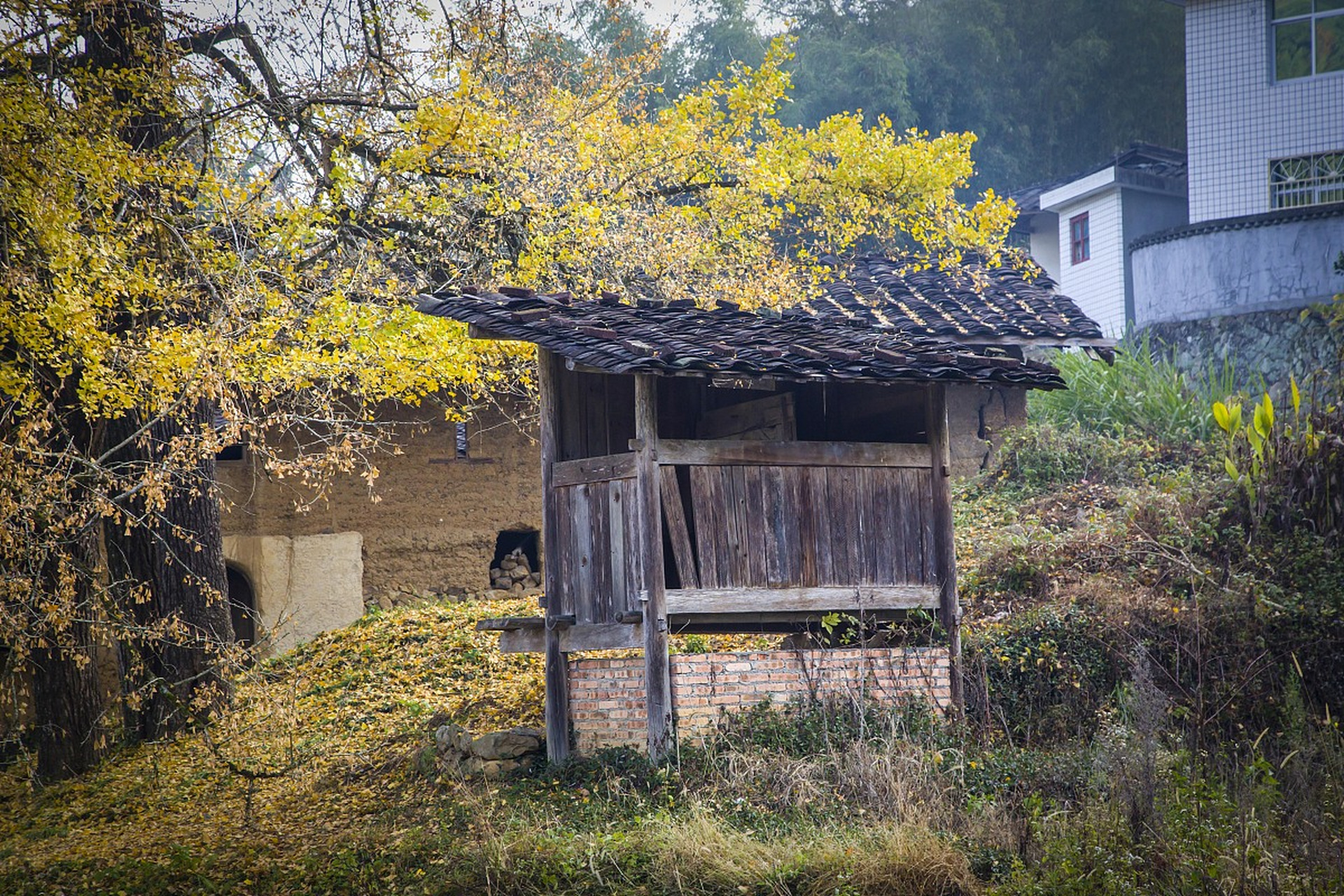 探访云上秘境,邂逅安徽木梨硔村!