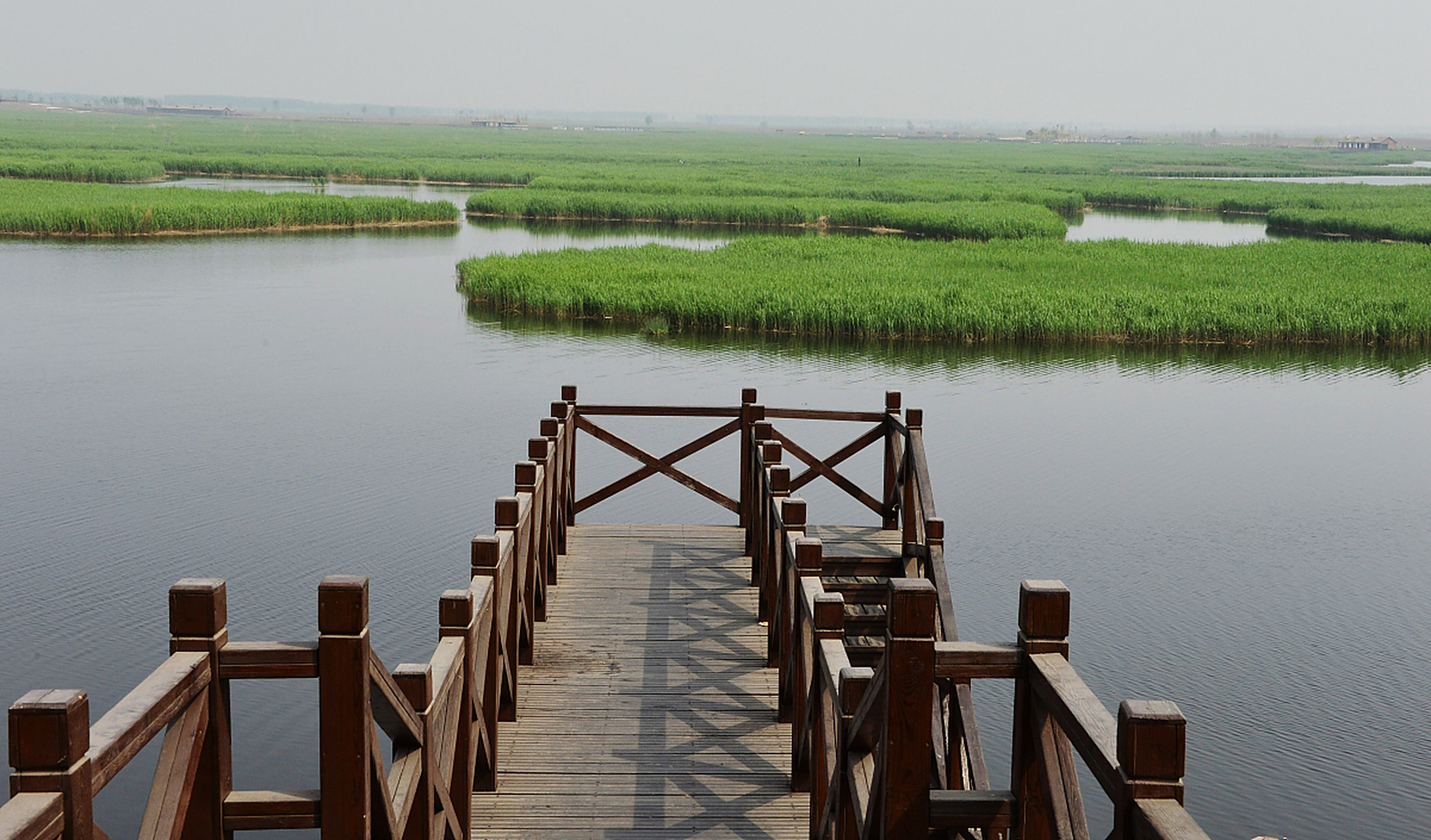 作为aaaa国家级湿地公园,七里海国家湿地公园拥有广袤的苇海和水域