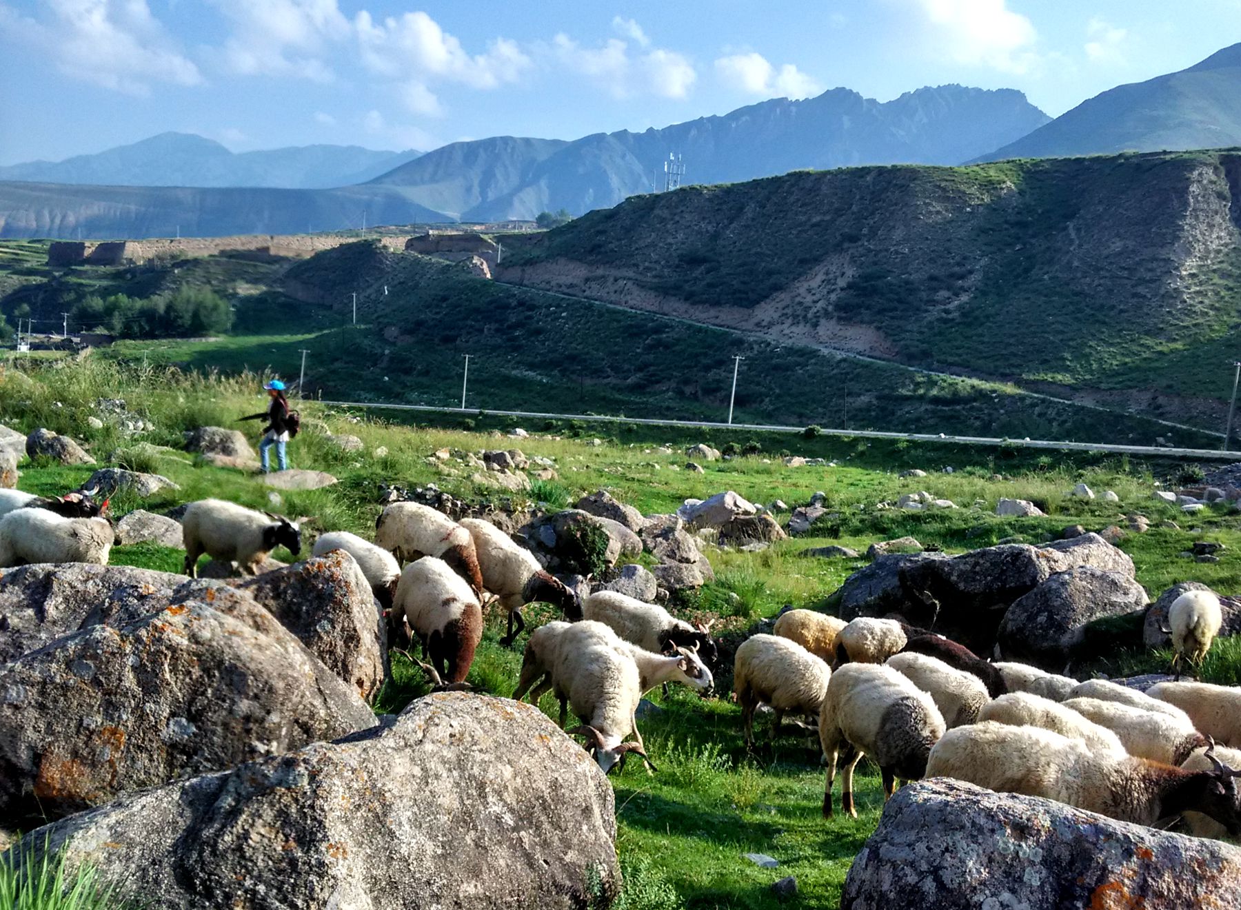 青海乱石阵邂逅牧羊女,随便支个帐篷,就是她和羊的家