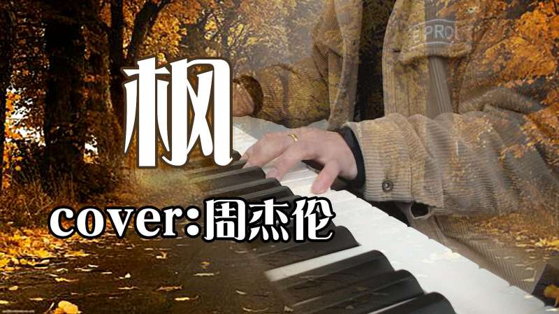 缓缓飘落的枫叶像思念多少年后才懂得周杰伦的枫