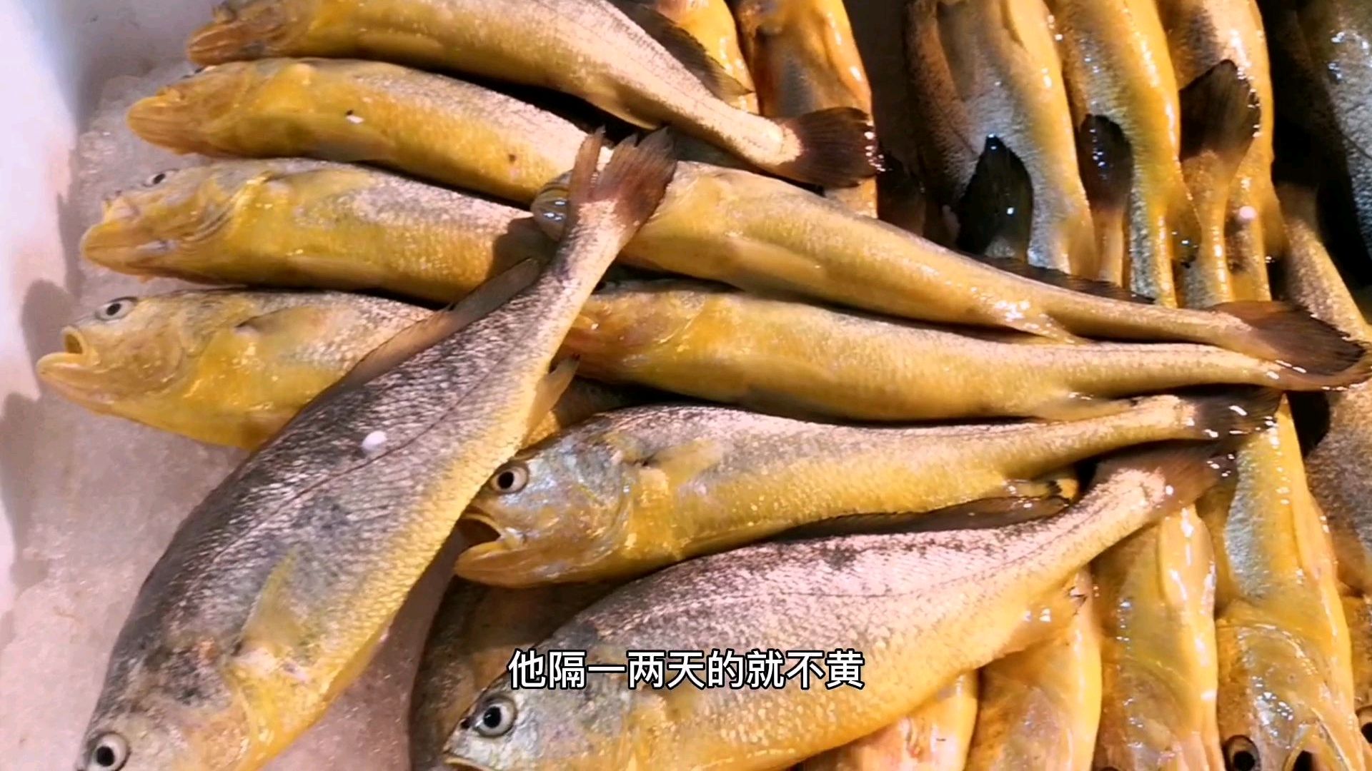 金黄和淡黄黄花鱼 你选哪种?福建鱼摊阿姨 告诉你答案