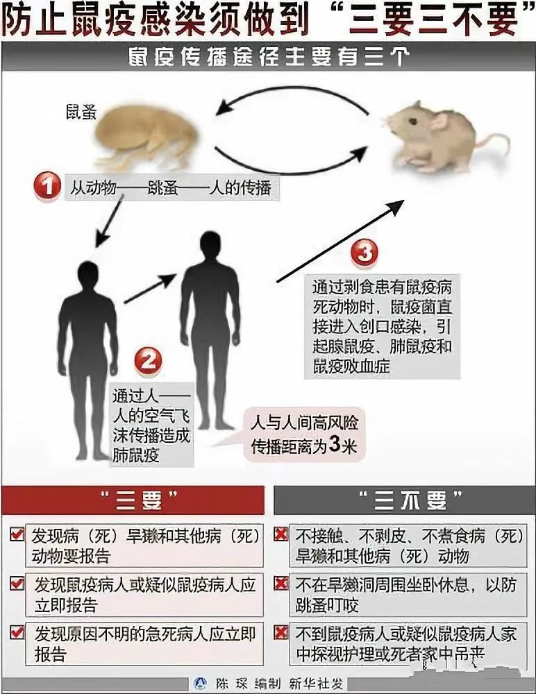 什么是鼠疫图片