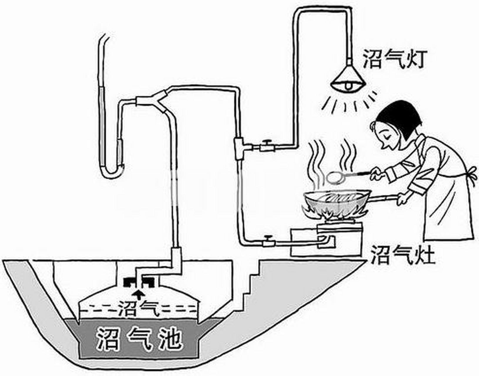 科普知识竞赛#沼气,顾名思义是沼泽湿地里的气体.