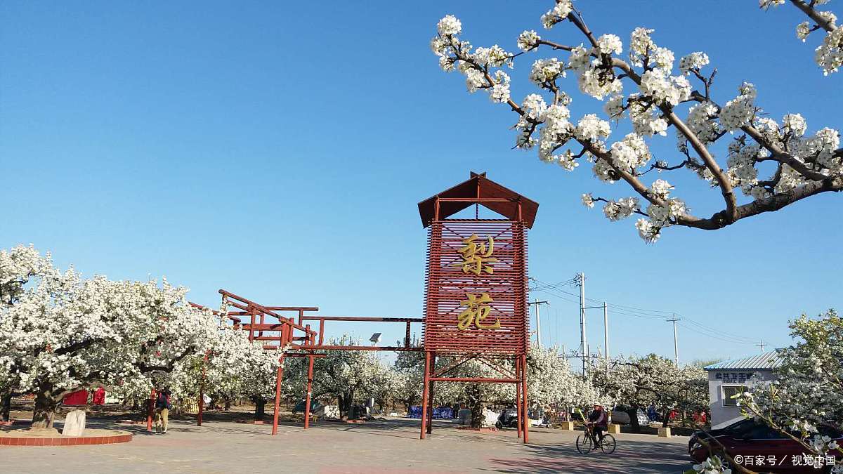 一,景点概述丹东大梨树景区是一个充满自然风光和人文景观的旅游胜地.