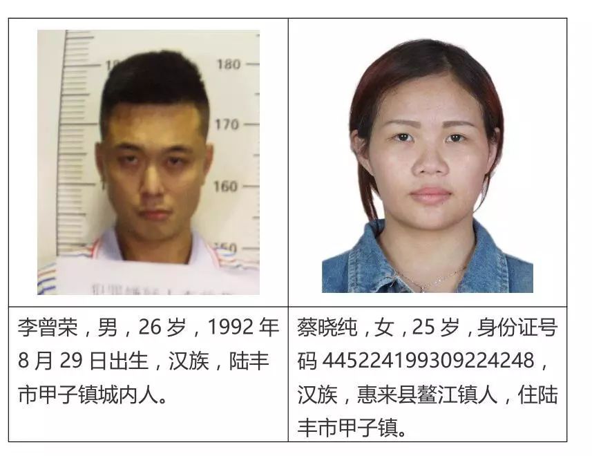 关于检举揭发杨淡科等人违法犯罪行为的通告
