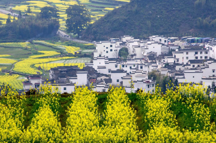 风景图集:中国最美乡镇江西婺源 风景美图