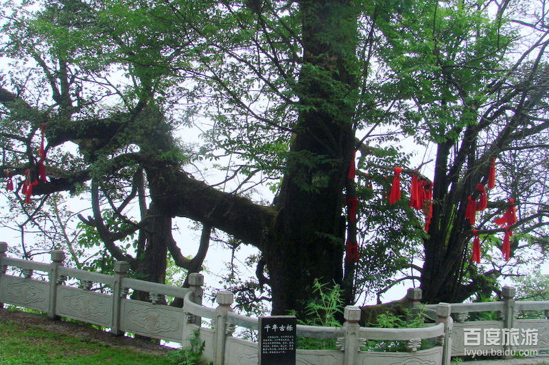 獅王溶洞,子午銀灘景區.陝西·安康還有更多值得一去的景點