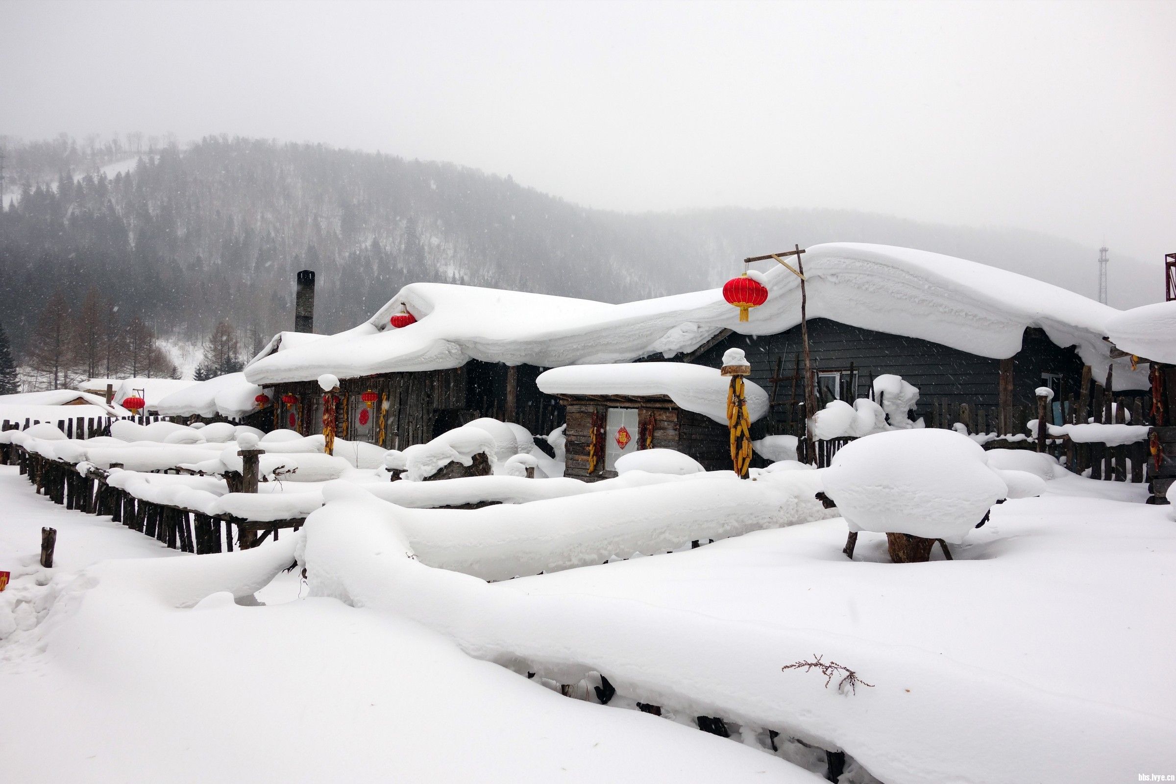 冬季想来雪乡看雪?这些东西你一定要准备!