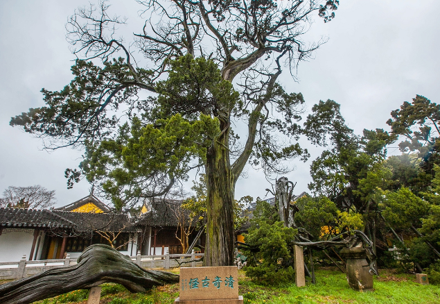 这门后面是大有洞天,这是邓禹草堂.