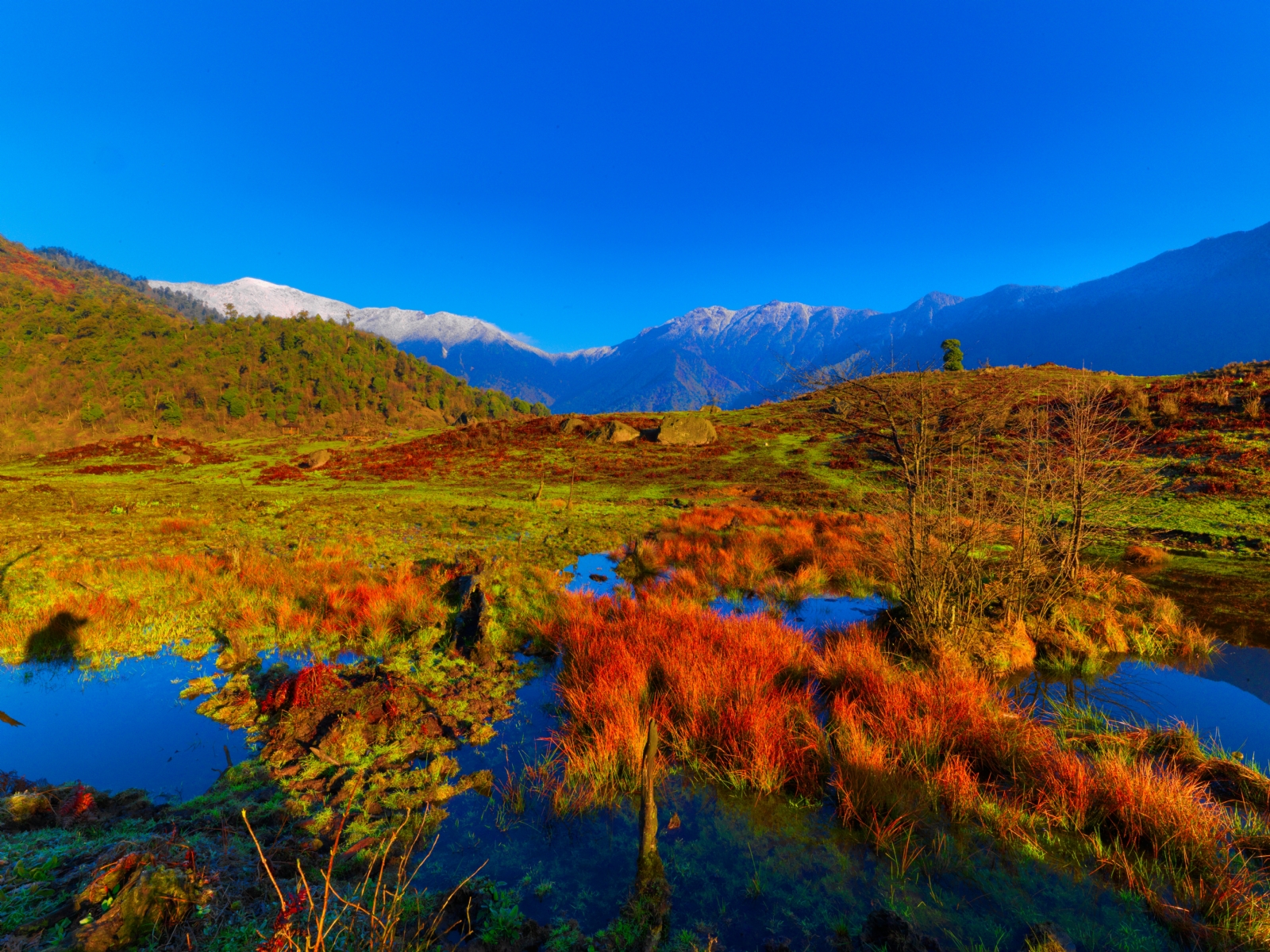 黑竹沟流传着许多古老神奇的传说,"三箭泉"的传说最为美丽动人!