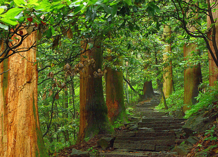 不同凡响的西天目山