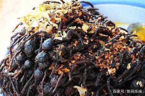 意大利的卡苏马苏奶酪(casu marzu):别名"活蛆乳酪",在萨丁尼亚一带用