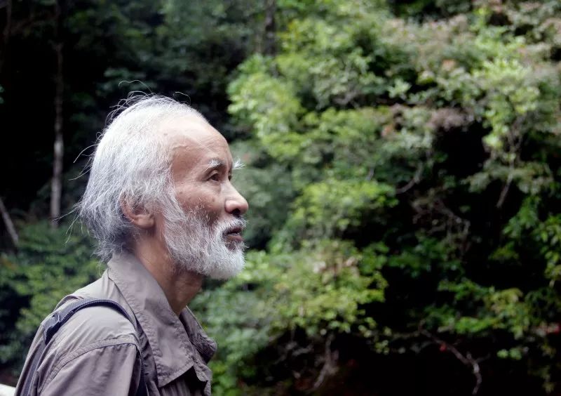 "蛇博士"陈远辉不慎发生车祸,无生命危险:"感谢大家的关心"