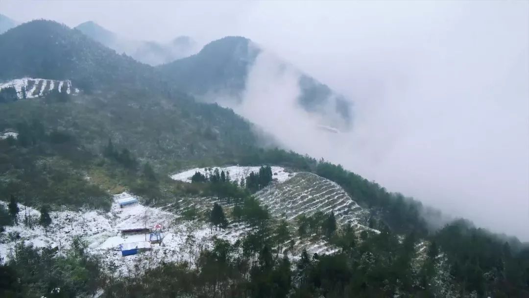 一场雪后,万州燕山乡方斗山大山坪上真的美翻了