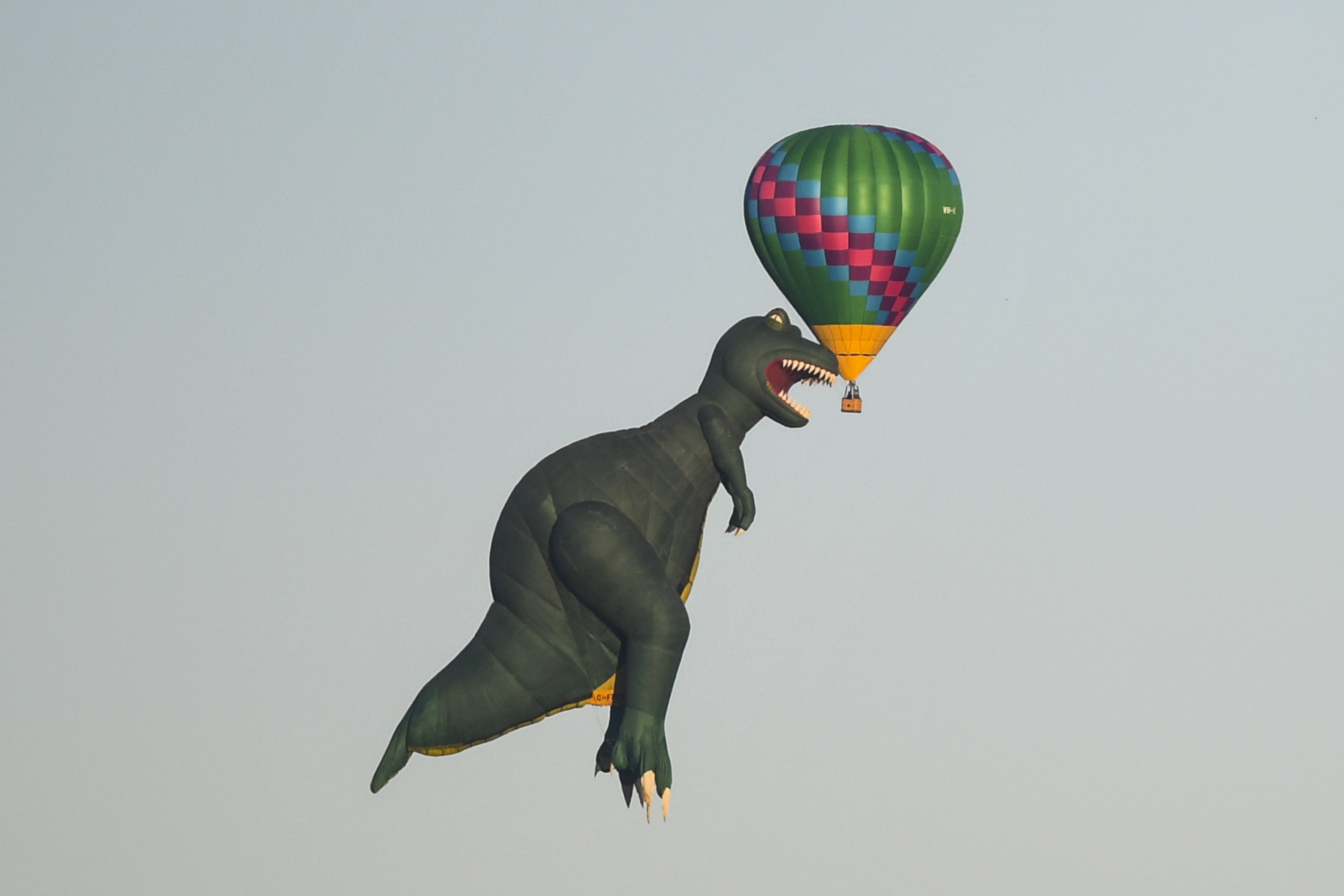 "飞天霸王龙"(1)