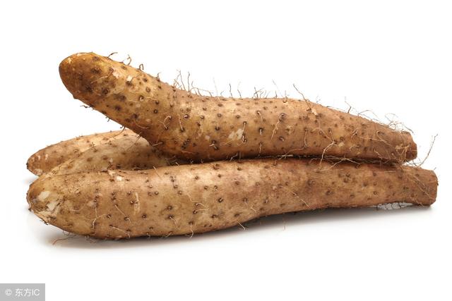 这山药大如鸡腿,细腻味甜,松软可口,亩产高达4000斤!