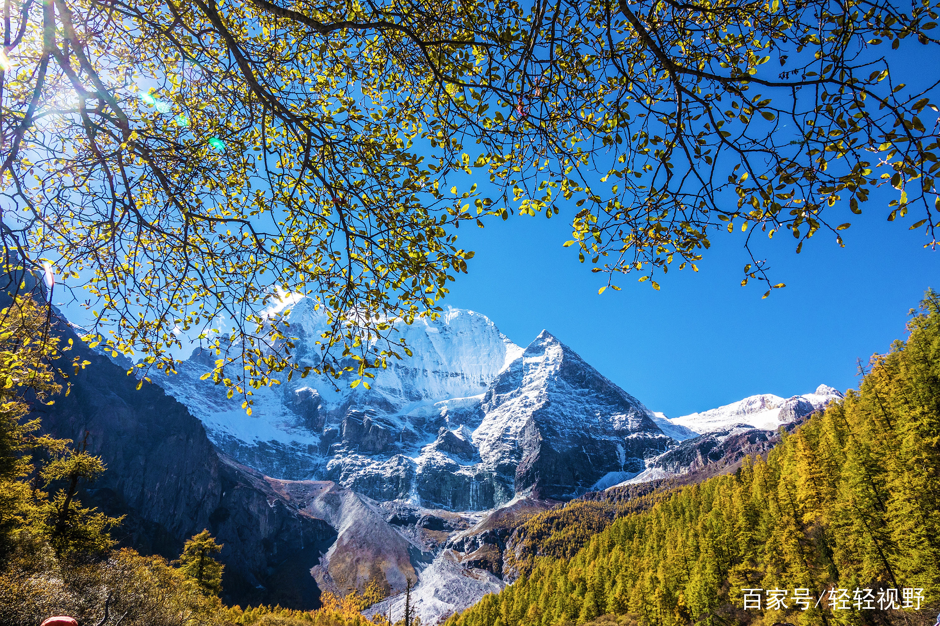 操午夜剧场夜剧场今晚正式开播引发全网关注，三大看点提前剧透引爆热议，资深观众纷纷点赞期待值拉满，行业人士分析或成年度爆款黑马。