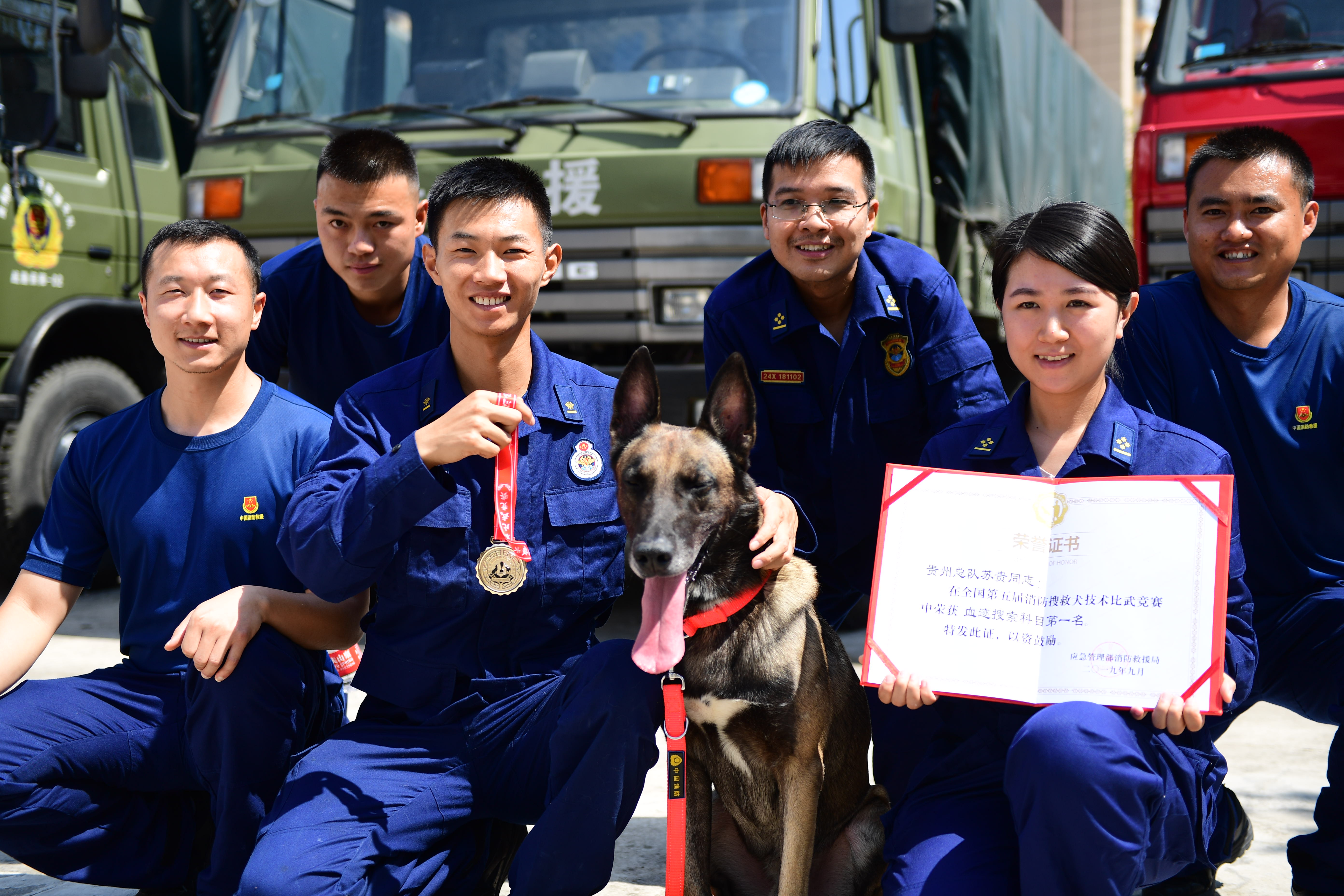 搜救犬巴特图片