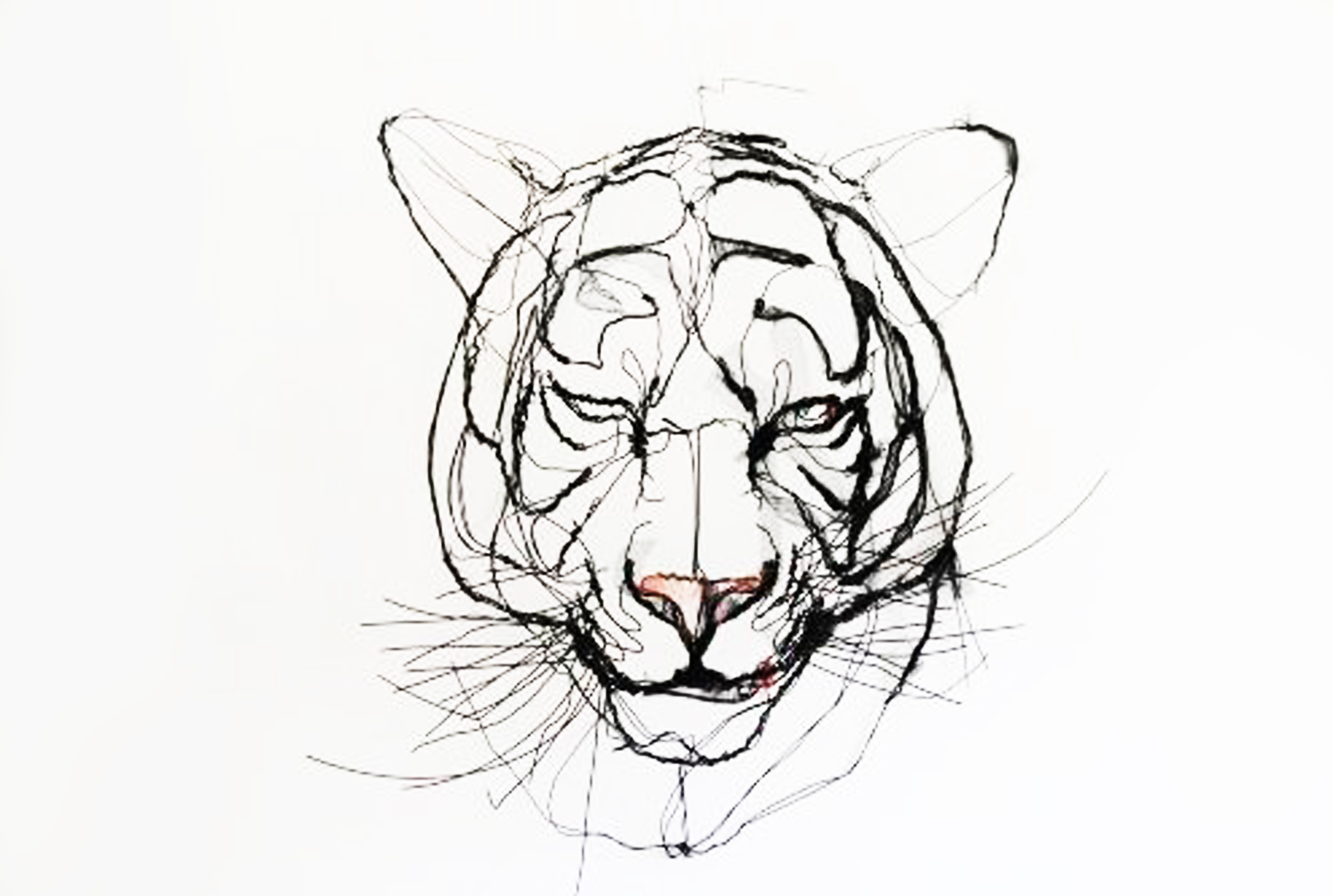 老虎的侧脸怎么画图片