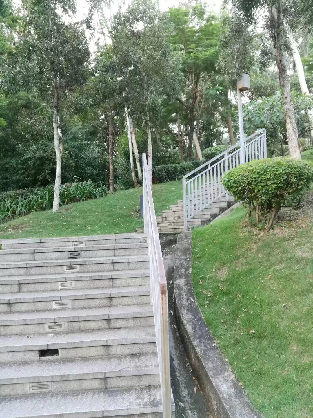 龙华清湖公园美景如画