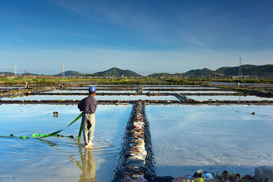 环渤海沿岸是我国盐场主产区,原因竟然与这3点有关,你知道吗?