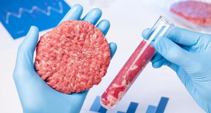 人造肉,有望助力新的食材革命?(细胞培育肉篇)