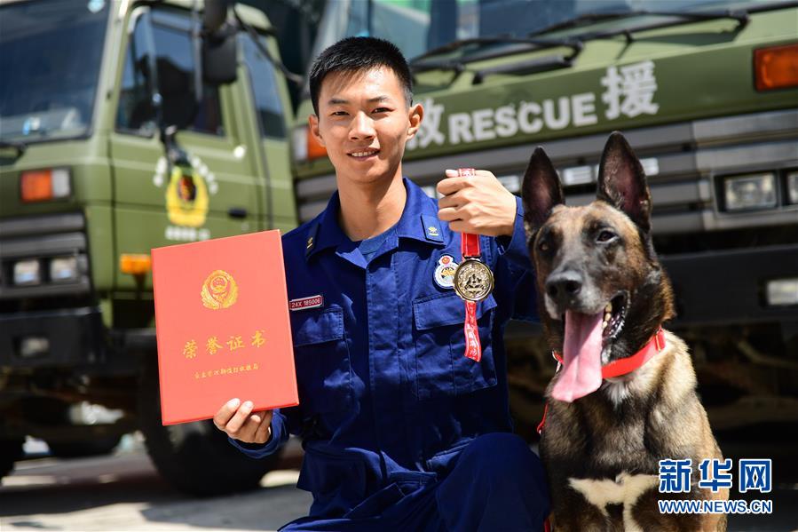 搜救犬证图片