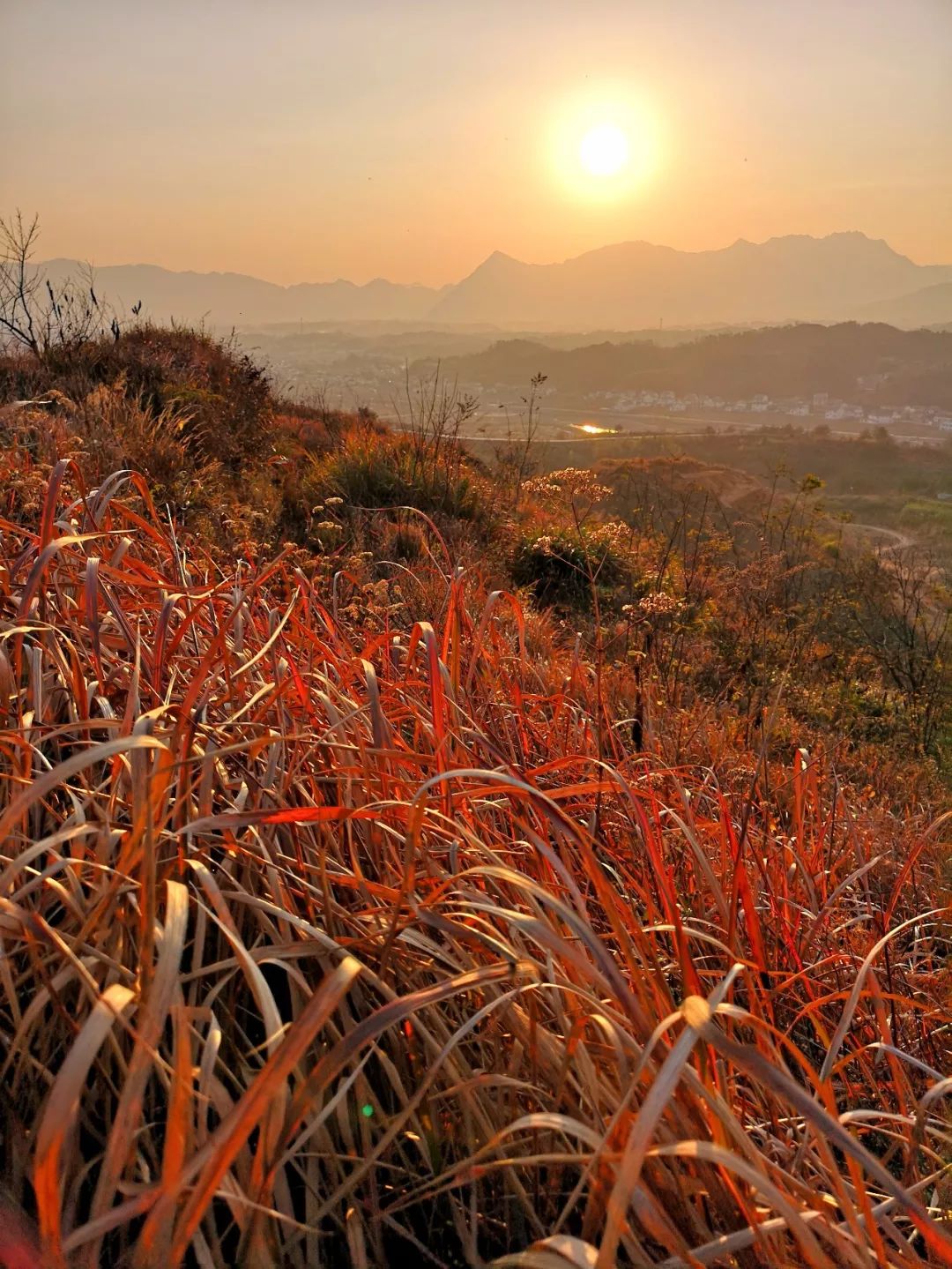 「美图欣赏」美丽乡村行一一岳西温泉镇桃岭村!