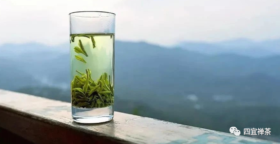 「贵州名茶」——普定朵贝贡茶