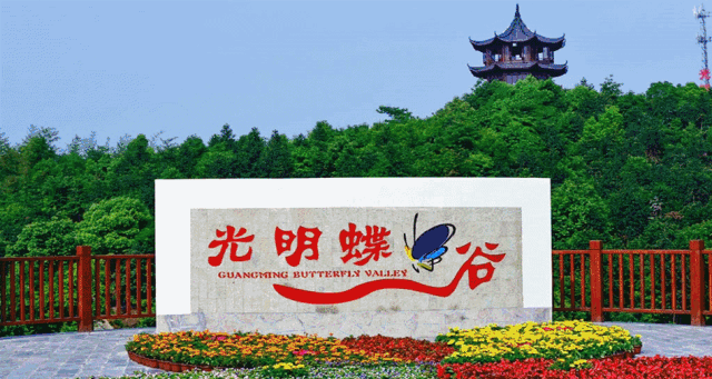 这是一个拼手速的福利 | 限时奉送光明蝶谷儿童门票