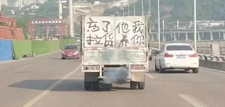 货车司机浪漫起来,也是一颗情种啊