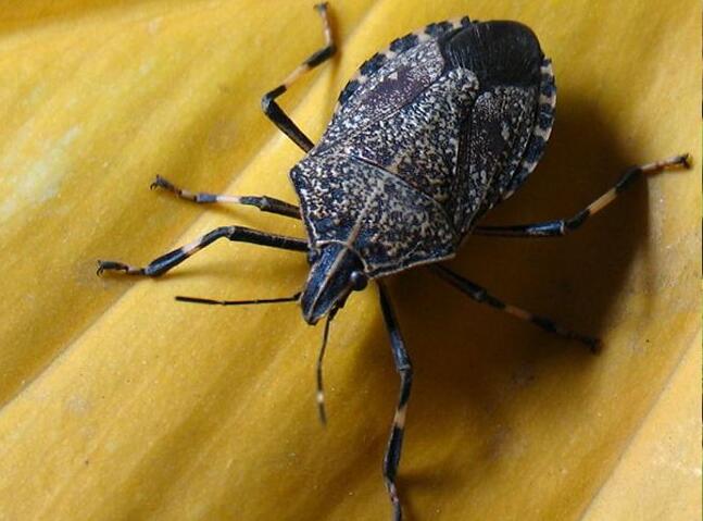 八- 热门商品专区