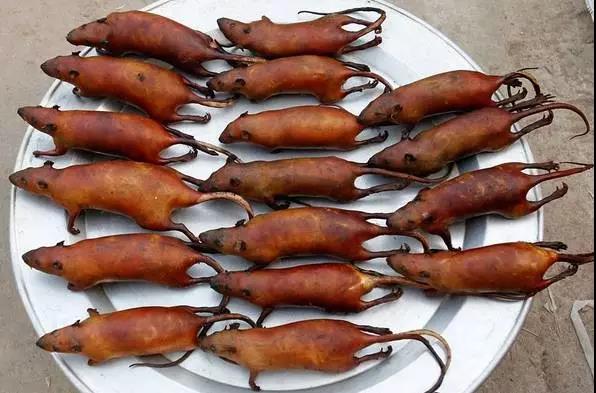 看完中缅边境菜市场,你还害怕云南的"昆虫宴"吗?网友:不敢吃