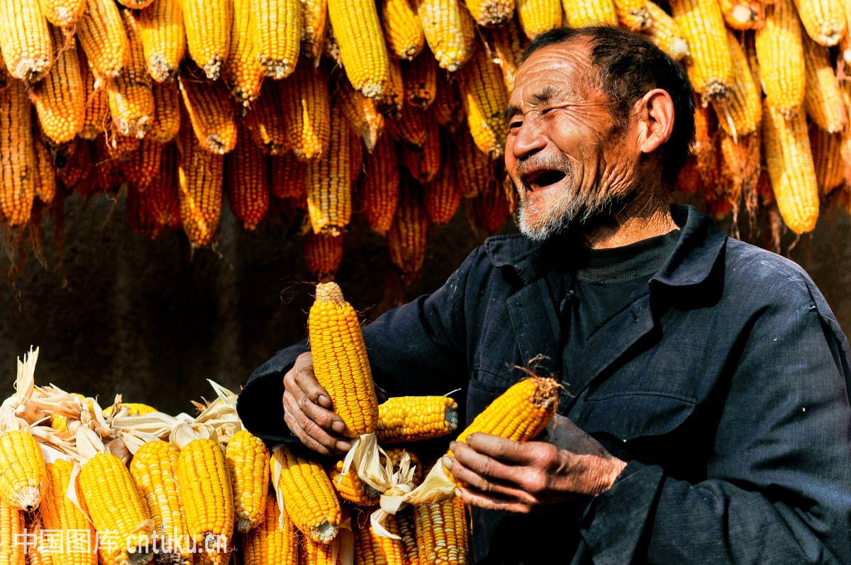 有哪一种笑容,能比过农民朋友丰收的喜悦笑容