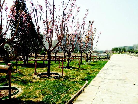 太原东篱公园10月将开放 这些美景"先睹为快"