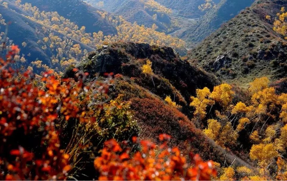 「文化包头」去包头这几个地方旅行,与未知的景色来一次美丽邂逅