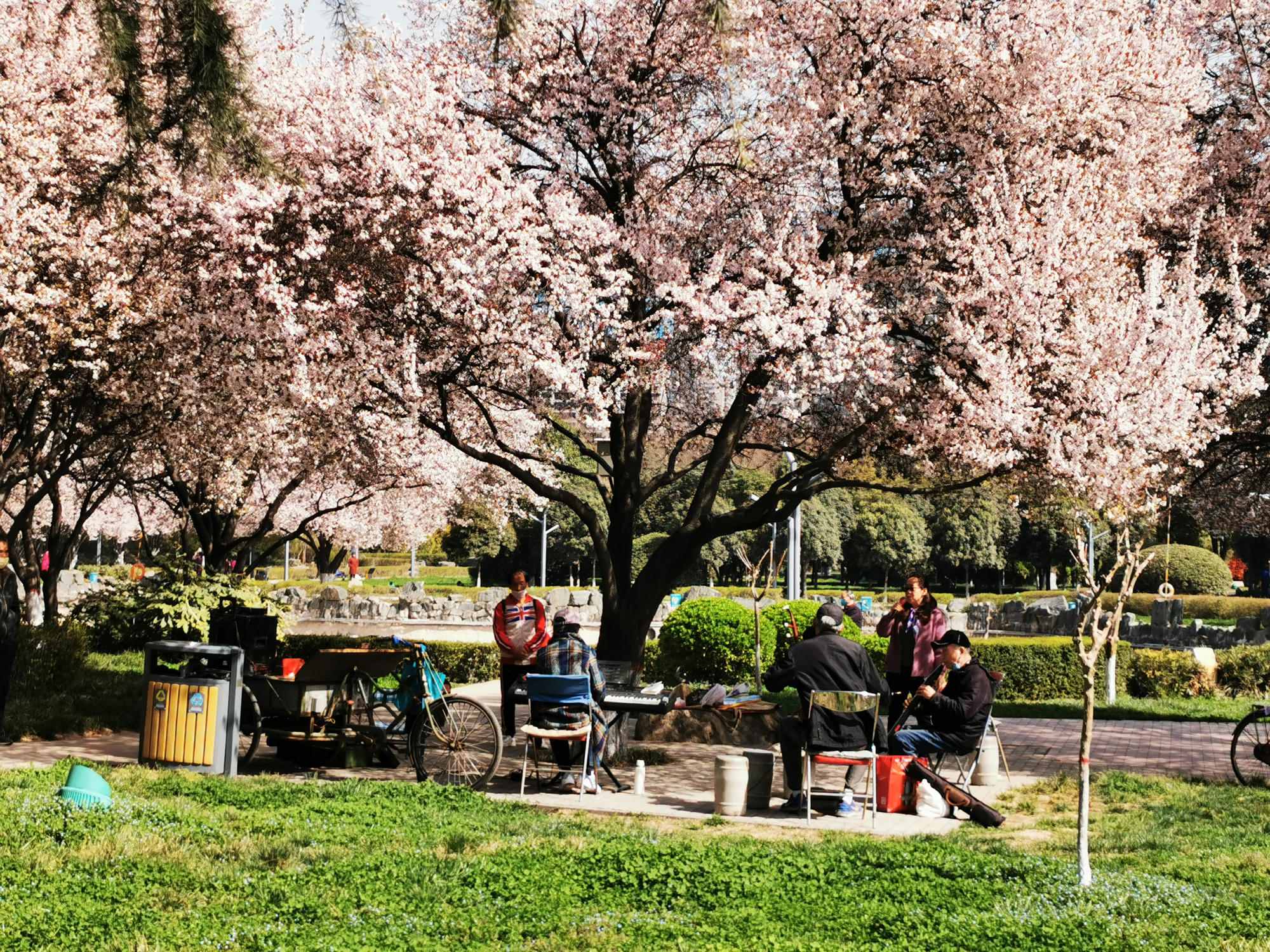公园里自娱自乐的老人们