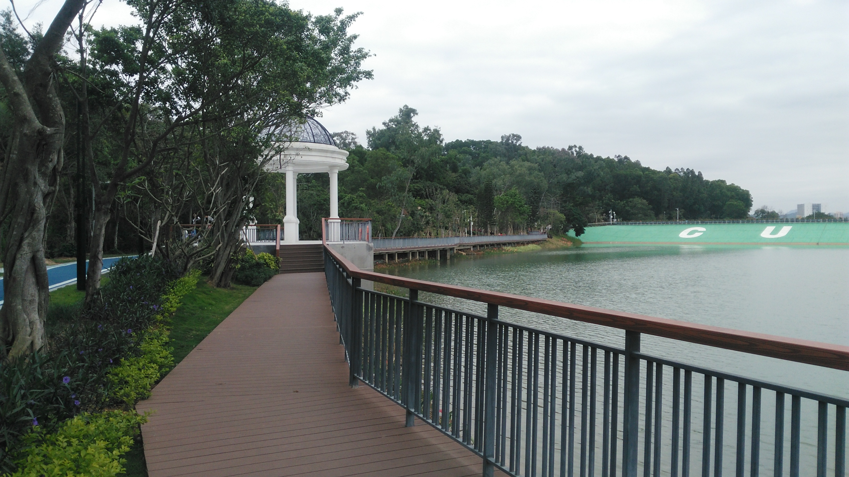 春日的下午,带你们到深圳龙岗大运公园去踏青啦