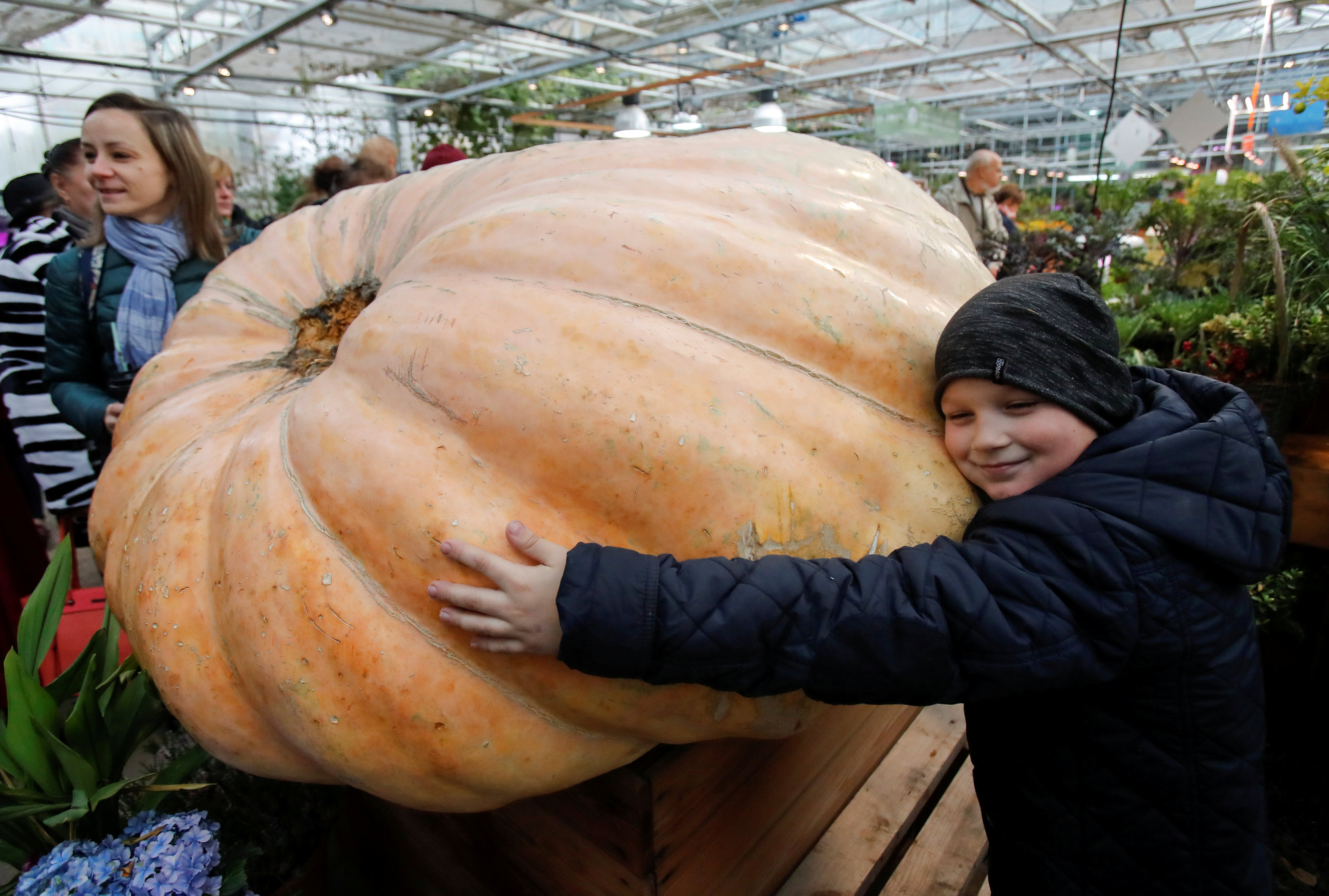 巨型南瓜