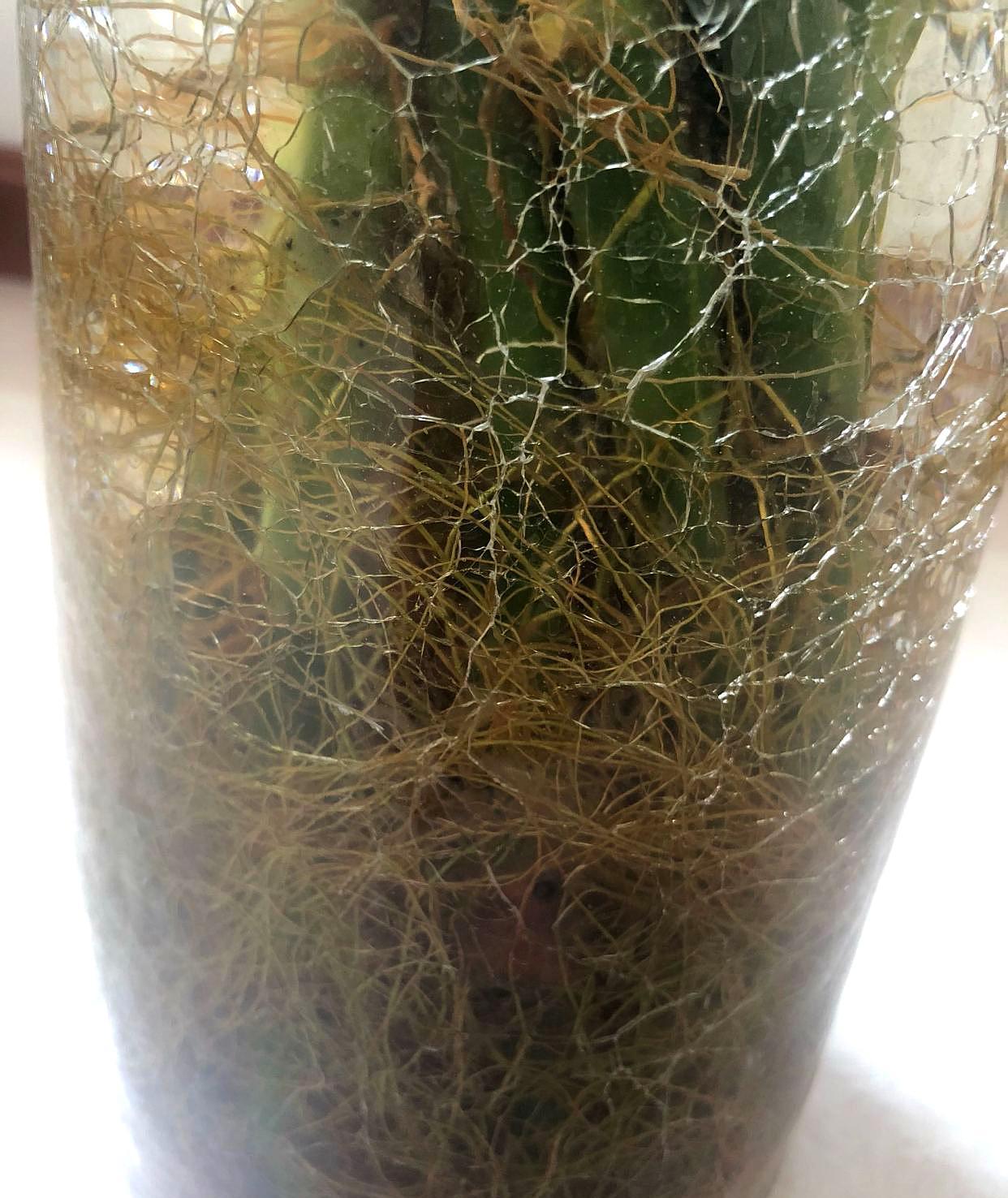 用对方法很重要