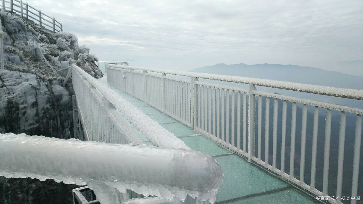 金子山玻璃桥~仰望山巅千仞中,透明硬骨两崖通