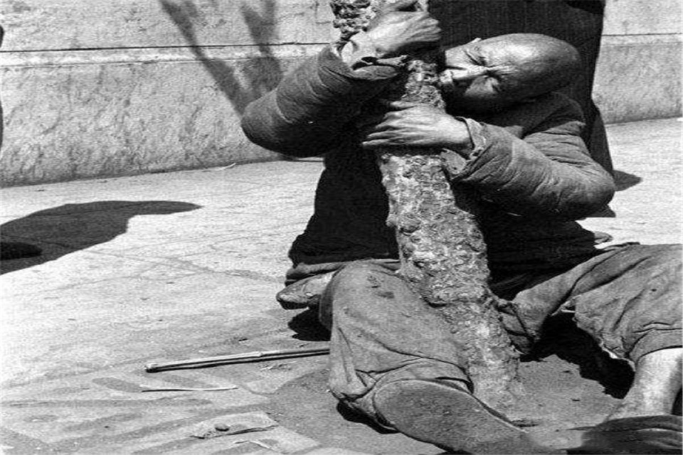 古代闹饥荒时,为何古人宁啃树皮不捕鱼?原因令人深思