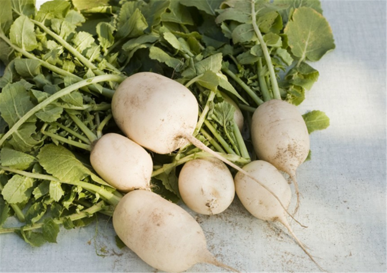 冬吃萝卜"赛人参",若能避开这3个"误区",可能身体会感谢你