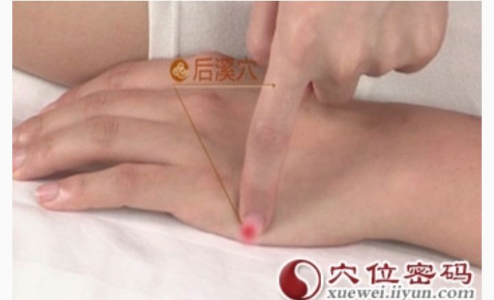 手少阴心经;调理神智的养心大脉