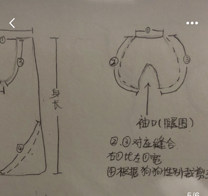 家里的旧衣服千万别扔,拿来给狗狗做衣服,狗狗:我就是最靓的崽